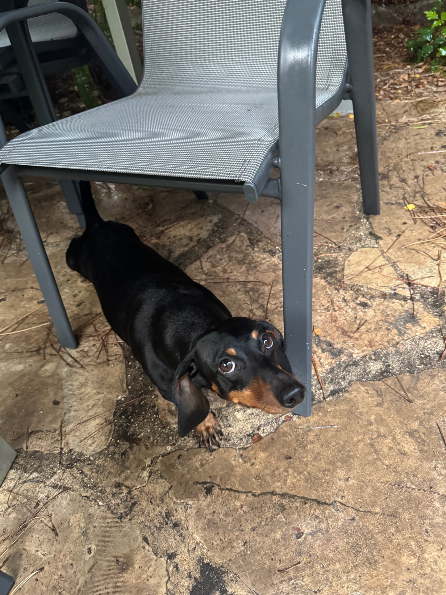 IdentifiableString Description test2