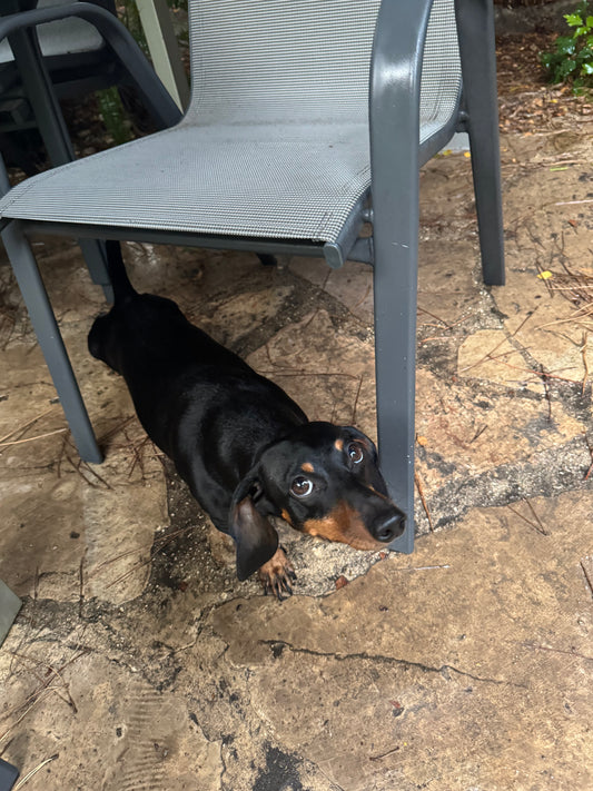 IdentifiableString Description test